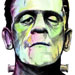 Frankenstein Monster / MonkeyManWeb.com