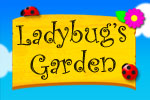 the Ladybug's Garden